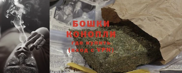 стаф Новокубанск