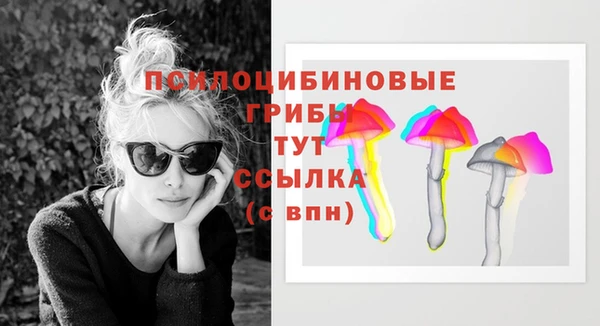 гидропоника Нефтекумск