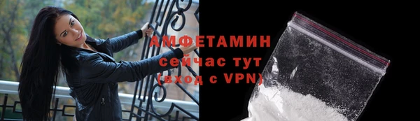 стаф Новокубанск