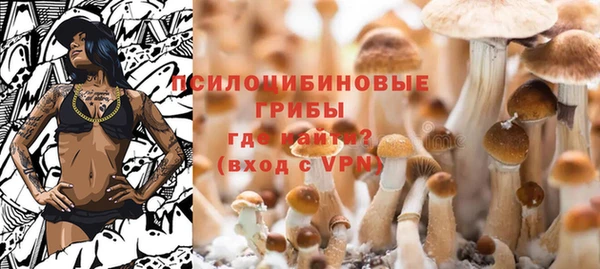 стаф Новокубанск