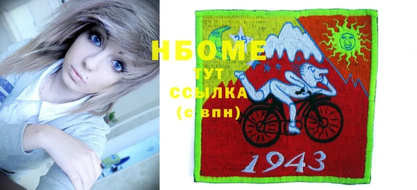 стаф Новокубанск