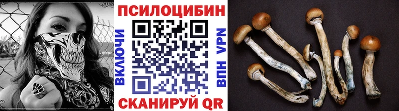 купить  цена  Никольское  Псилоцибиновые грибы мухоморы 